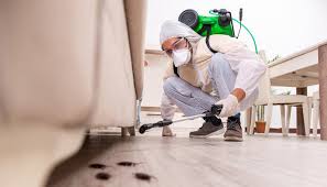 Real Estate Pest Inspections in Delano, CA